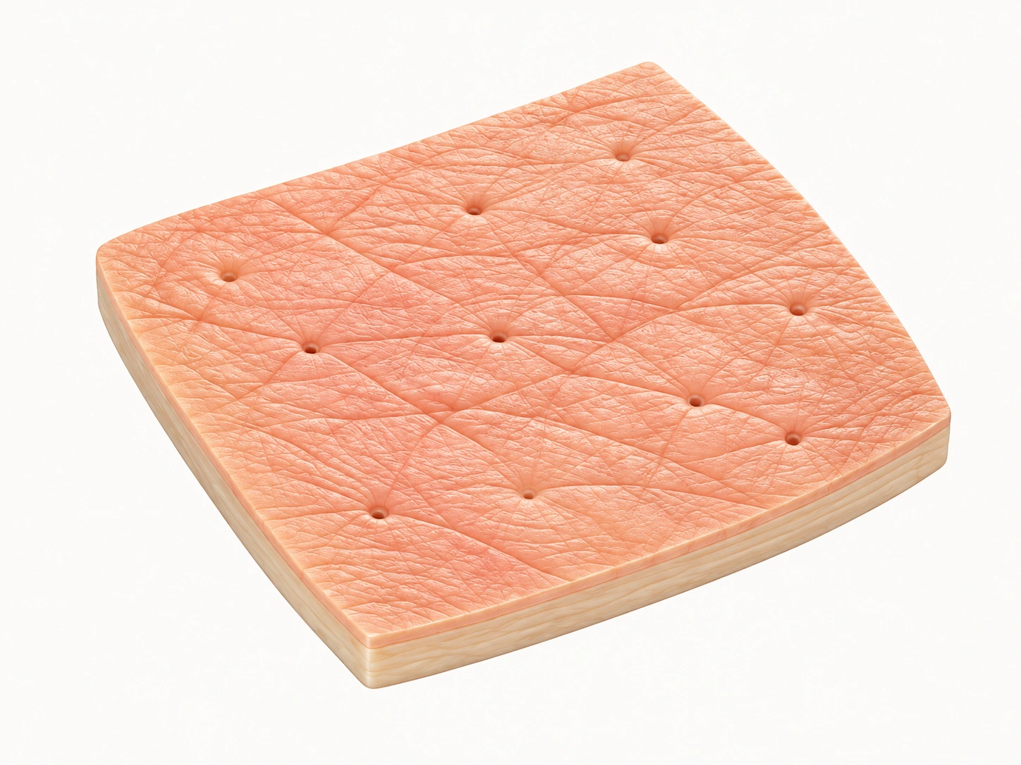 Illustrated skin surface with fine intersecting grooves and small openings.